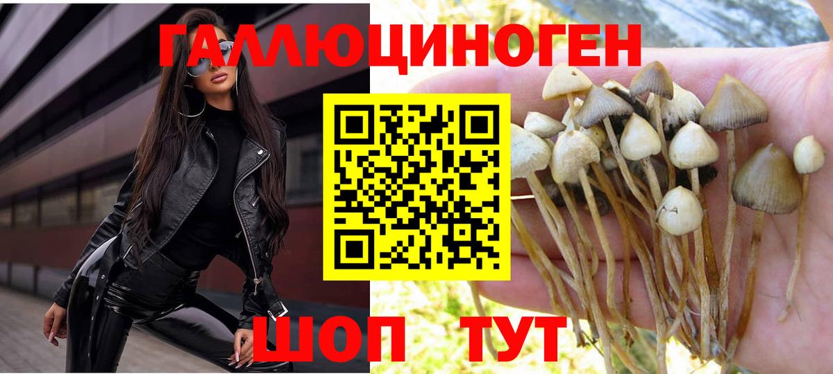 купить наркотики сайты  Вход с VPN  Ханты-Мансийск  Галлюциногенные грибы Psilocybine cubensis 